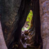 Armstrong Redwoods State Natural Reserve photo, July 2013