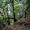 Armstrong Redwoods State Natural Reserve photo, July 2013