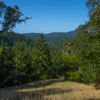 Armstrong Redwoods State Natural Reserve photo, July 2013