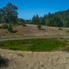 Armstrong Redwoods State Natural Reserve photo, July 2013