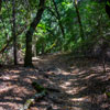 Armstrong Redwoods State Natural Reserve photo, July 2013