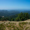 Armstrong Redwoods State Natural Reserve photo, July 2013