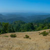 Armstrong Redwoods State Natural Reserve photo, July 2013