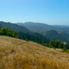 Armstrong Redwoods State Natural Reserve photo, July 2013