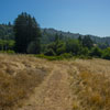 Armstrong Redwoods State Natural Reserve photo, July 2013