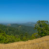 Armstrong Redwoods State Natural Reserve photo, July 2013