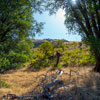 Armstrong Redwoods State Natural Reserve photo, July 2013