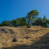 Armstrong Redwoods State Natural Reserve photo, July 2013