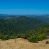 Armstrong Redwoods State Natural Reserve photo, July 2013