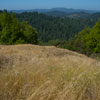 Armstrong Redwoods State Natural Reserve photo, July 2013