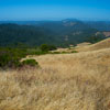 Armstrong Redwoods State Natural Reserve photo, July 2013