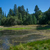 Armstrong Redwoods State Natural Reserve photo, July 2013