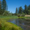 Armstrong Redwoods State Natural Reserve photo, July 2013