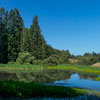 Armstrong Redwoods State Natural Reserve photo, July 2013