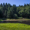 Armstrong Redwoods State Natural Reserve photo, July 2013