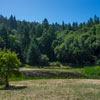 Armstrong Redwoods State Natural Reserve photo, July 2013