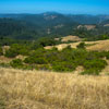 Armstrong Redwoods State Natural Reserve photo, July 2013