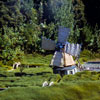 Storybook Land Windmills, January 1965