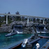 Disneyland Submarine Voyage June 1959