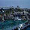 Disneyland Submarine Voyage June 1959