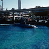 Disneyland Submarine Voyage photo November 1959