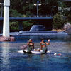 Submarine Voyage, June 1966