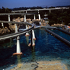 Submarine Voyage July 1962