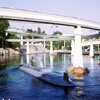 Submarine Voyage photo