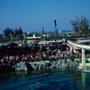 Disneyland Submarine Lagoon January 1960