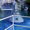 Submarine Voyage photo, January 1965