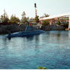 Disneyland Submarine Voyage photo, June 1961