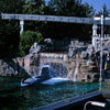 Submarine Voyage, July 1965