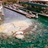 Disneyland Submarine Voyage photo, September 1962