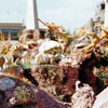 Disneyland Submarine Voyage photo, December 1961