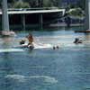 Disneyland Submarine, August 1960