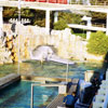 Disneyland Submarine Voyage photo, November 1970