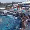 Disneyland Submarine Voyage photo, September 1971