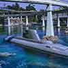 Disneyland Submarine Voyage photo, July 29, 1973