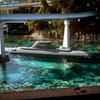 Disneyland Submarine Voyage January 1984