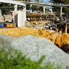 Disneyland Submarine Voyage rehab  February 1980