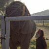 Chris Gallucci at Shambala Wildlife Preserve May 2003