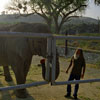 Tippi Hedren and Shambala Wildlife Preserve May 2003