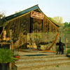 Tippi Hedren and Shambala Wildlife Preserve photo, May 2003