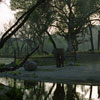 Elephant at Shambala Wildlife Preserve May 2003