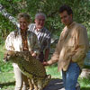 Tippi Hedren and Elephants at Shambala, October 1995 photo