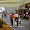 20K Walkthrough Exhibit, July 1960