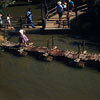 Tom Sawyer Island, August 1958