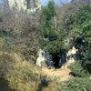 Tom Sawyer Island photo March 1962