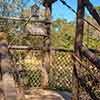 Disneyland Tom Sawyer Island Suspension and Pontoon Bridge, February 20077