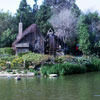 Tom Sawyer Island Old Mill, February 1971